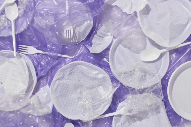 Case Sweden |  System Dynamics Sustainability Assessment of Circular Plastics